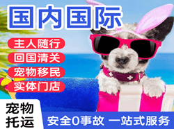 桂林两江机场快递国际宠物托运 【国